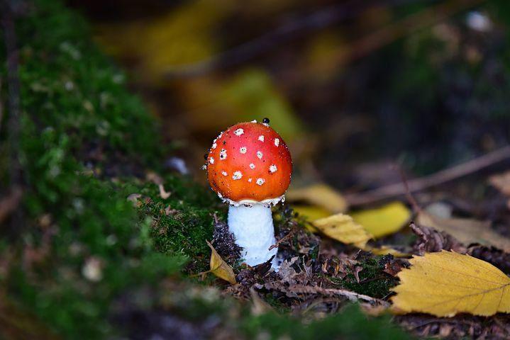 潮湿怎么办,夏天如何解决家里潮湿的问题?_https://sdkda.com_养生_第2张