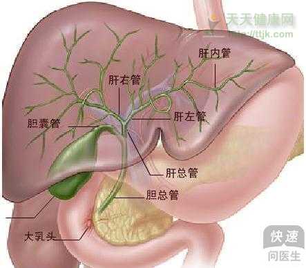 急性黄疸型肝炎的饮食禁忌