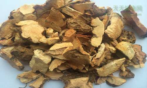 茯苓的功效作用以及副作用_https://sdkda.com_养生_第4张